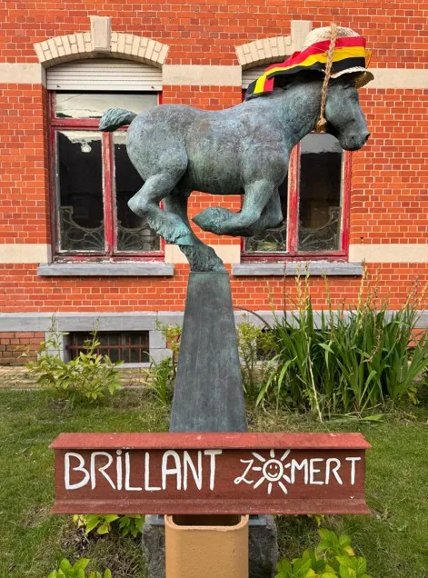 Brillant in de zomerweide op Haras de Vollezeele