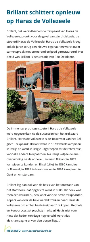 Belgische trekpaarden samen op Haras de Vollezeele
