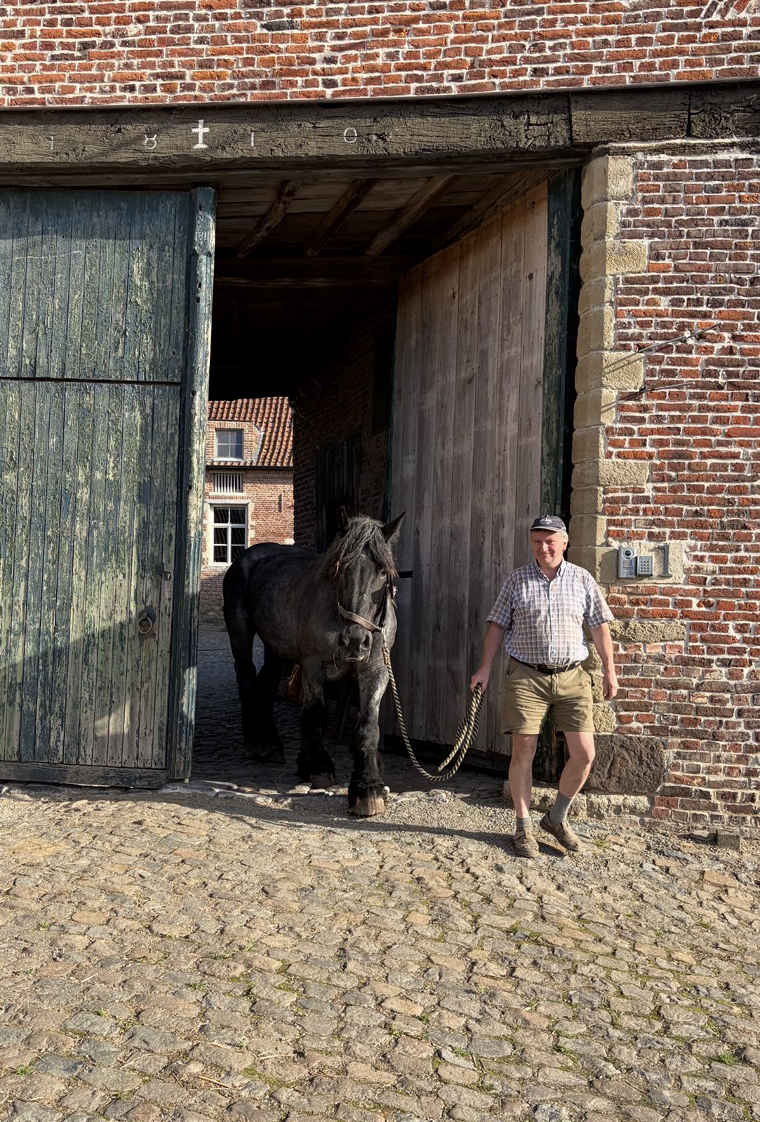 Een Belgisch trekpaard wordt door de schuurpoort van de historische hoeve geleid