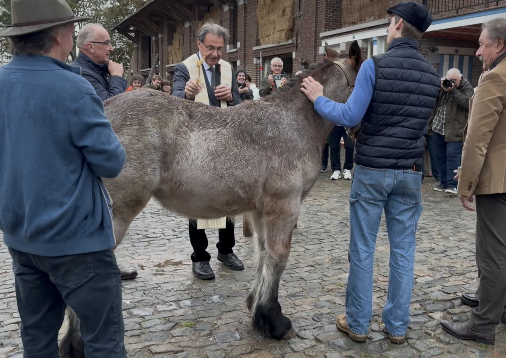De zegening van het veulen Fleur op de binnenkoer
