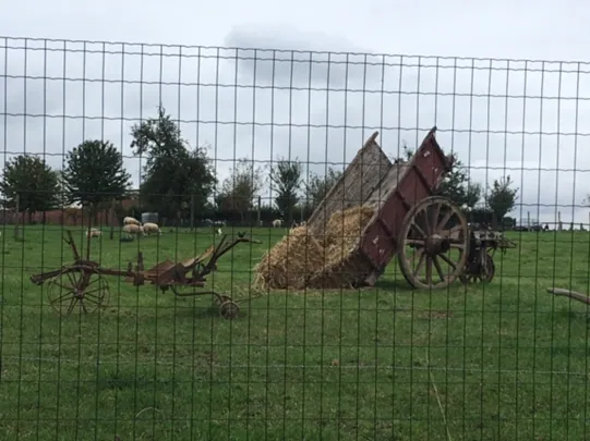 Gekipte houten kar met stro en oud landbouwalaam in de weide