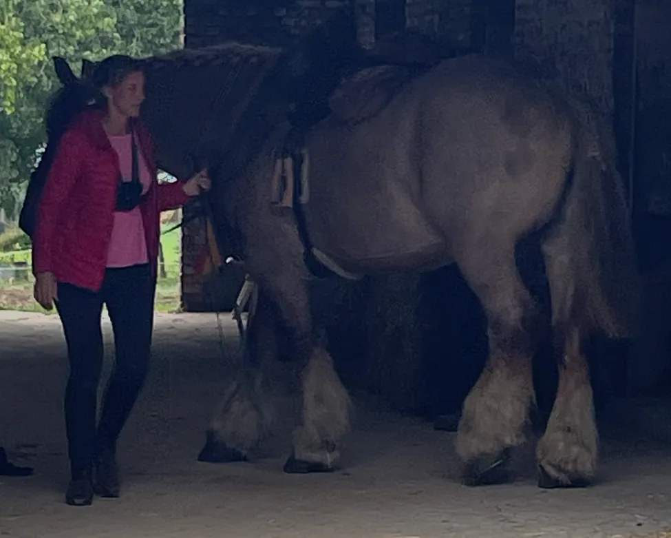 Hilse De Groote bij haar opgezadelde trekpaard onder de poort