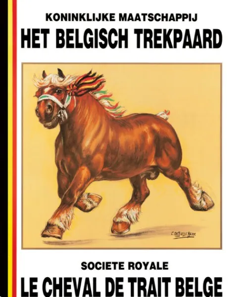 Affiche van de Koninklijke Maatschappij het Belgisch Trekpaard (KMBT)