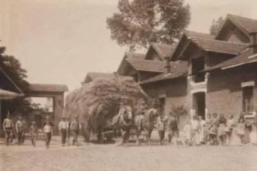 Historische foto van een geladen strokar met trekpaarden op de binnenkoer