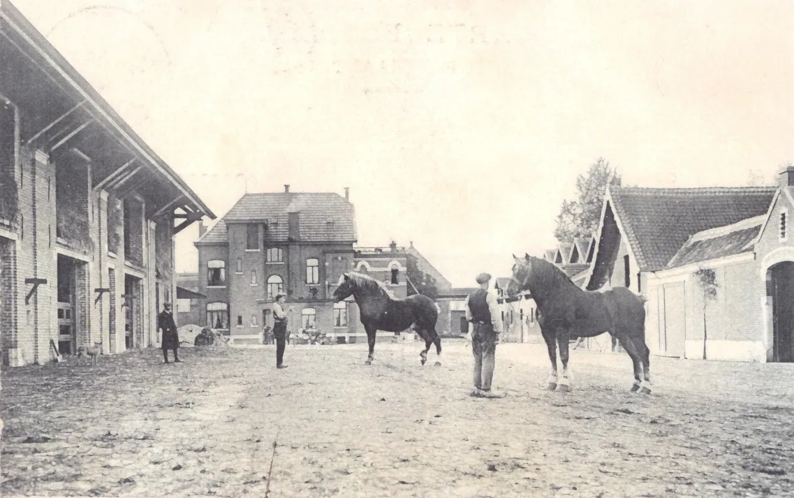 Twee trekpaarden getoond op de binnenkoer, met het château op de achtergrond