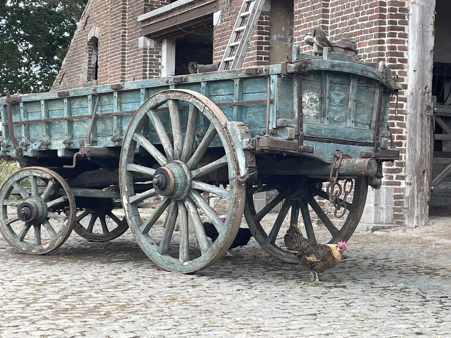 Antieke blauwe houten hoogkar op de kasseien, met scharrelende kippen