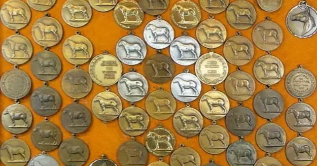 Gouden medaille ter ere van het Belgisch trekpaard Brillant