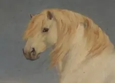 Schilderij van de schimmelhengst Mercure
