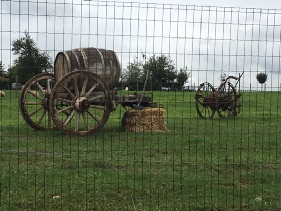Antieke houten kar met ton en oud landbouwalaam in de weide