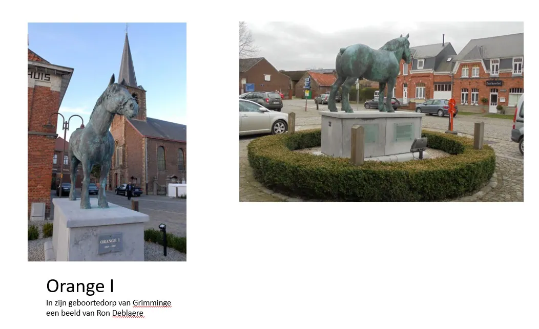 Het lichtbruine paard Prins, geboren te Grimminge
