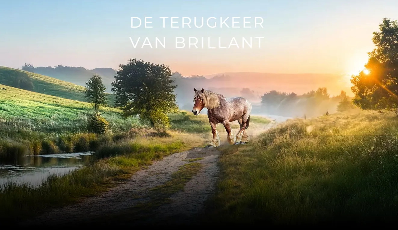 Affiche 'De terugkeer van Brillant' met een trekpaard op een landweg bij zonsopgang