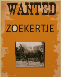 zoekertje