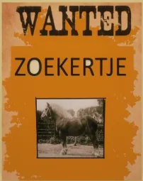 Zoekertje in de vorm van een 'Wanted'-affiche met een trekpaard